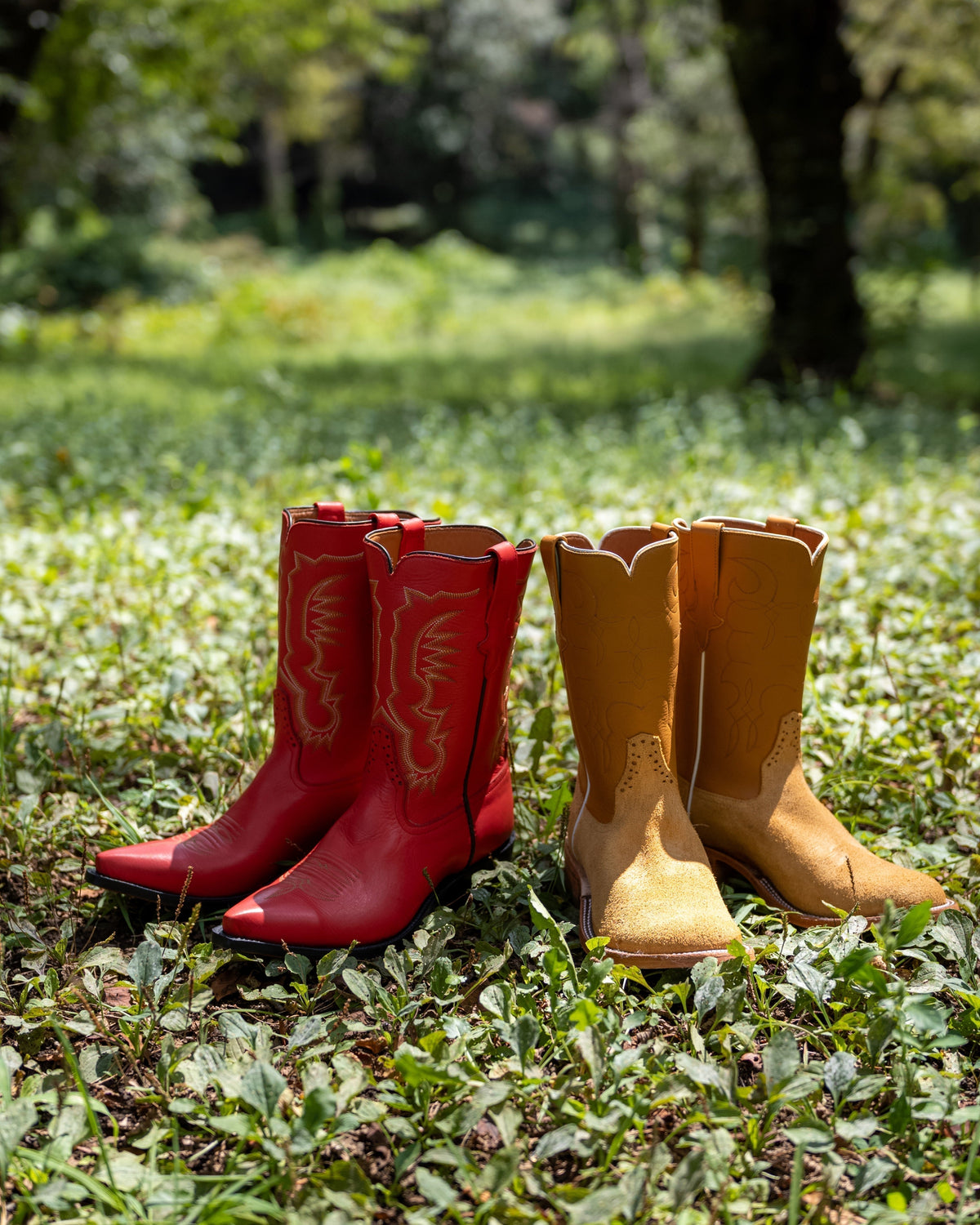 Cassidy Red / Sundance Gold ― 最後のRios of Mercedes