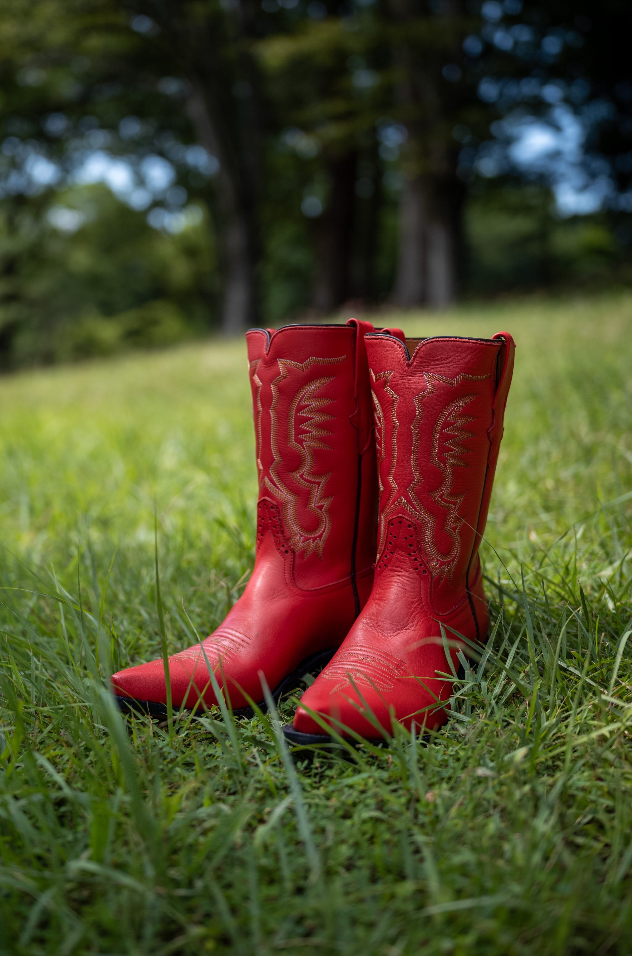 Cassidy Red | cliché