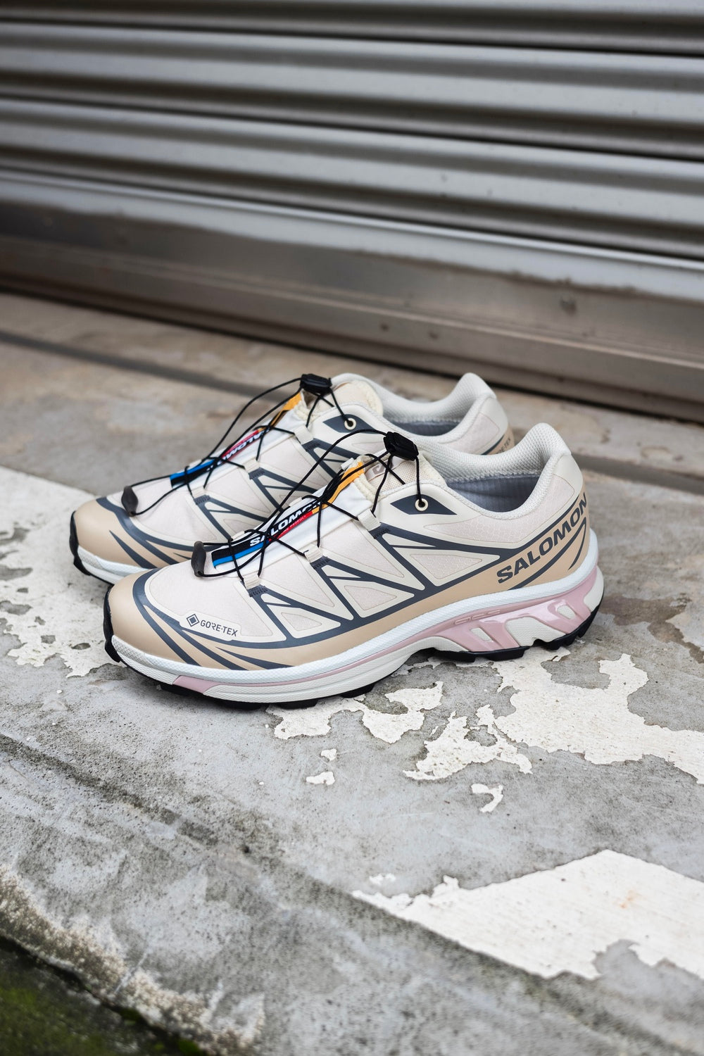 XT-6 GTX 〔Almond Milk / Feather Gray / Pale Mauve〕 | cliché 