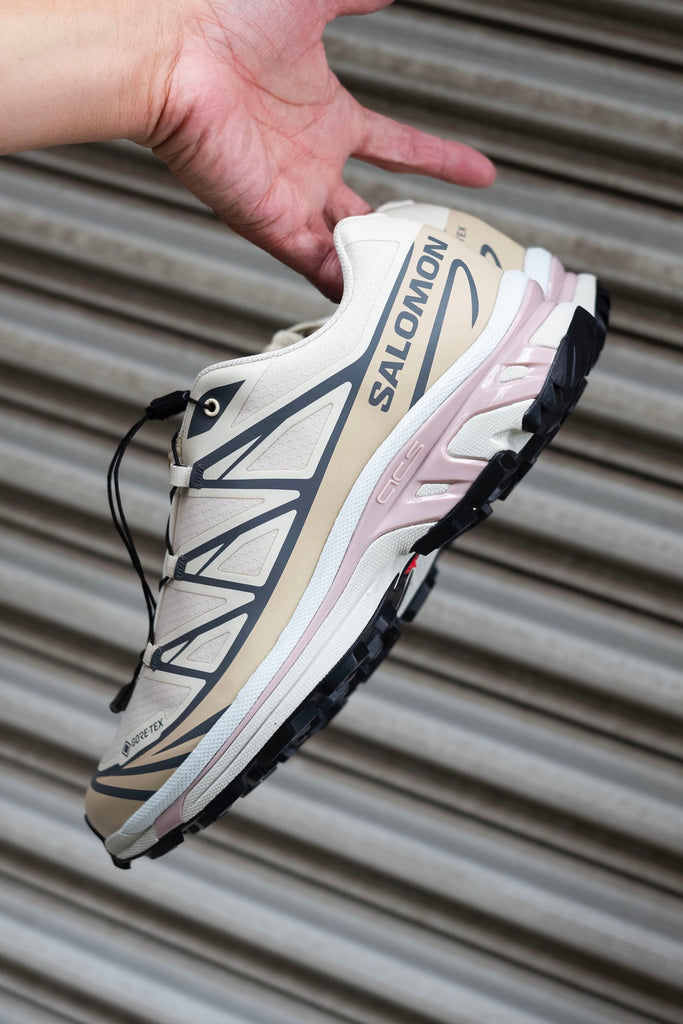 XT-6 GTX 〔Almond Milk / Feather Gray / Pale Mauve〕